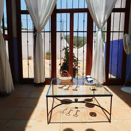 Casa Erizo 39 (Adults Only) Hotel Guanajuato Ngoại thất bức ảnh