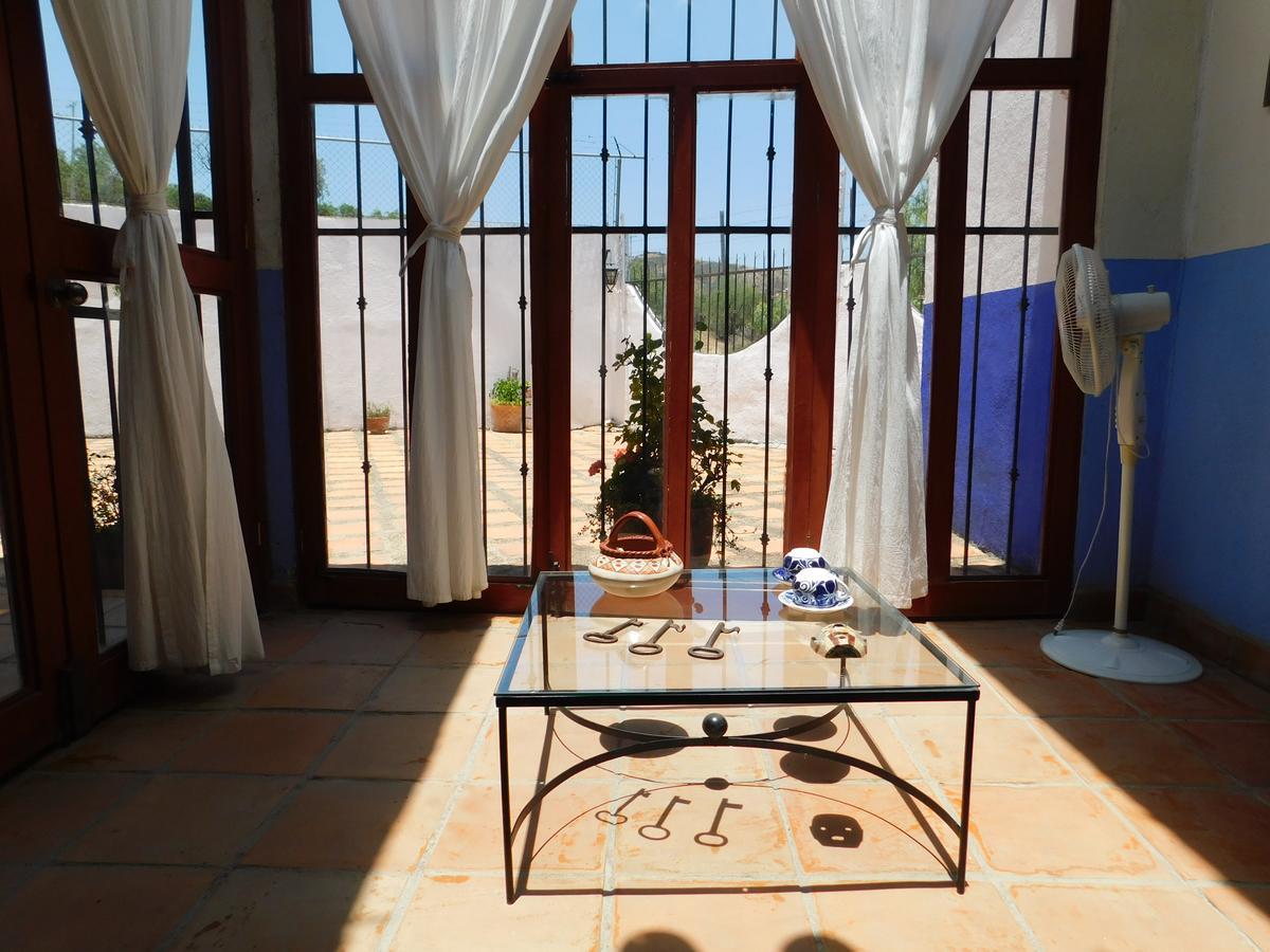 Casa Erizo 39 (Adults Only) Hotel Guanajuato Ngoại thất bức ảnh