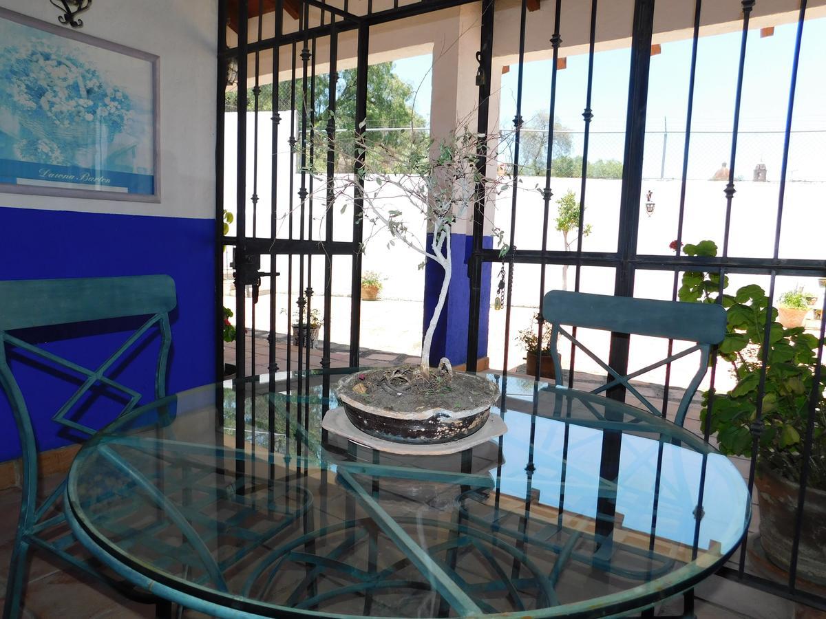 Casa Erizo 39 (Adults Only) Hotel Guanajuato Ngoại thất bức ảnh