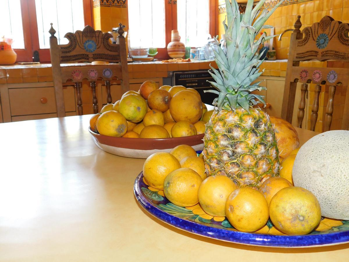 Casa Erizo 39 (Adults Only) Hotel Guanajuato Ngoại thất bức ảnh